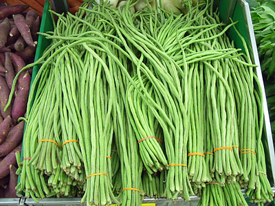 yardlong фасул, зелен фасул, дълги зърна, змия Бийн, зеленчуци, бобови, Селско стопанство