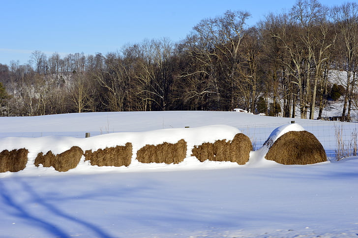 hay bales, snow, farm, sky, rural, nature, landscape