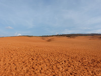 desert, viet nam, sand, nature, dry, landscape, land
