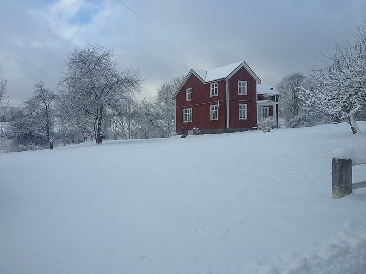 winter, red cottage, red house, snow, twilight
