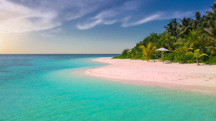 Pink beach, Beach, paradicsom, Paradise beach, egy sziget, Palma, pálmafák