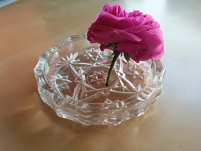 cvet, pepelnik, ekološke, na zdravje, Rosa