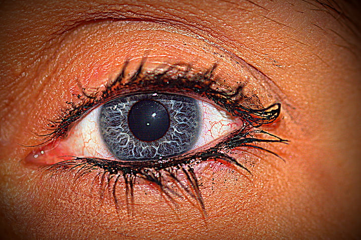 oči, modra, trepalnic, črne oči, pogled, blizu, človeško oko
