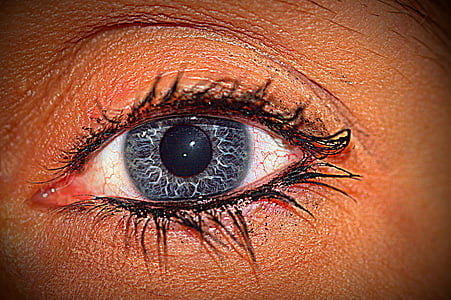 silmä, sininen, silmäripset, musta silmä, näkymä, Sulje, ihmisen silmä