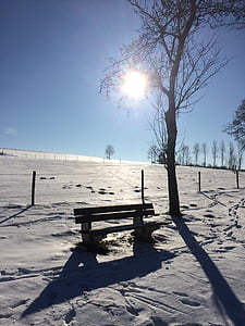 冬天, 休息, 景观, 雪