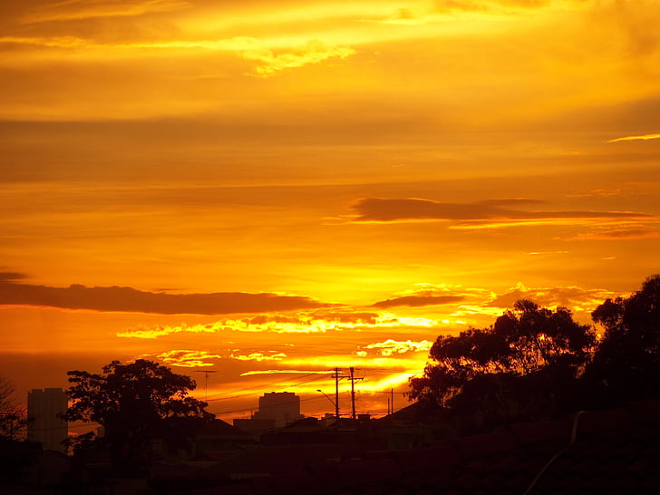 Sunset, træer, Sky, natur, landskab, udendørs, sollys