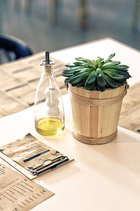 plant, oil, table, restaurant, decor, menu, paper
