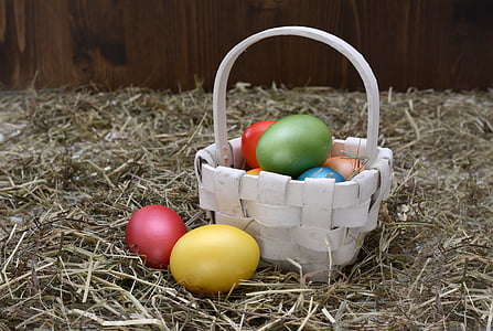 easter eggs, easter nest, easter, egg, decoration, easter decoration, happy easter
