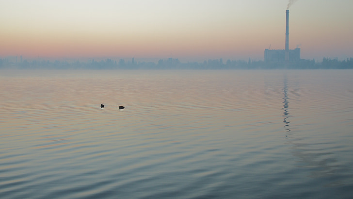 sjön, dimma, morgon, tidigt på morgonen