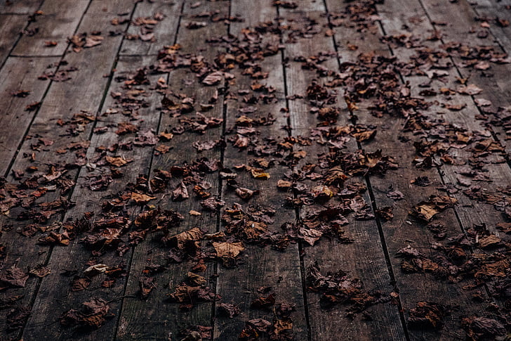 сушени, листа, кафяв, дървени, повърхност, Есен, дървени подове