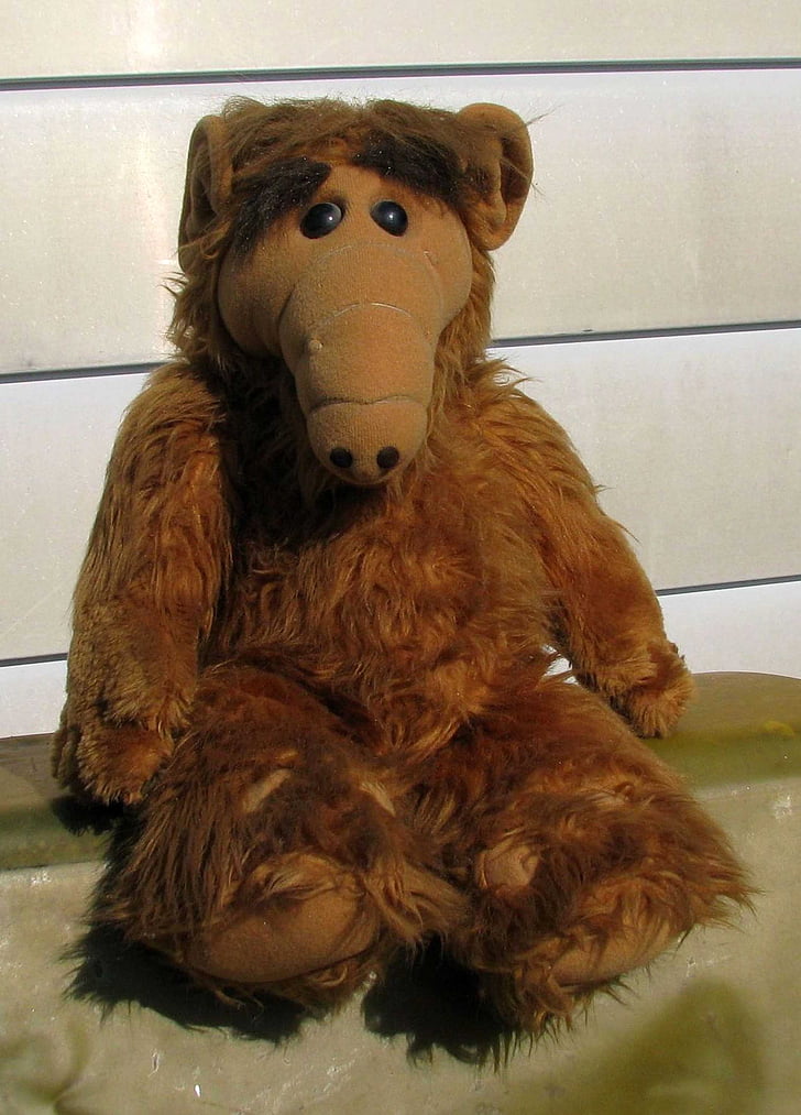 Alf, burattino, giocattolo farcito, star della TV, Moneymore, Ontario, Canada