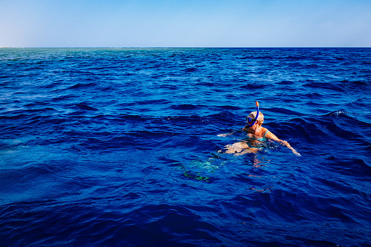 osoba, more, ronjenje na dah, tijekom, godišnji odmor, sportski, ljeto