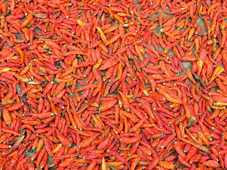 Laos, pimenta chili, pimenta vermelha, piri piri, especiarias, poder, comida
