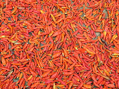 Laos, Chili peper, rode peper, Piri piri, specerijen, macht, voedsel