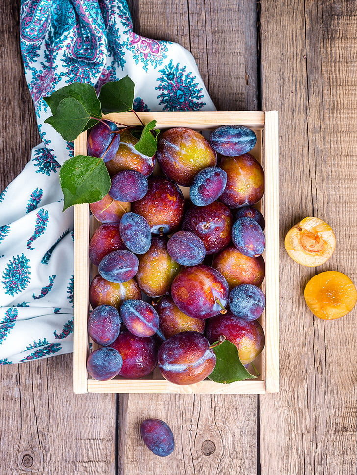 plum, fruit, food, summer, blue berry, blue, still life