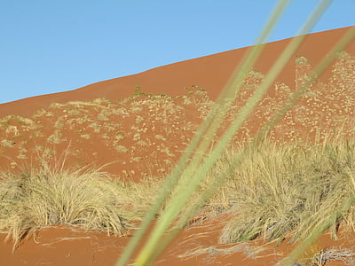 dykuma, Namibo, Namibija, kraštovaizdžio, smėlio, sossusvlei, Gamta