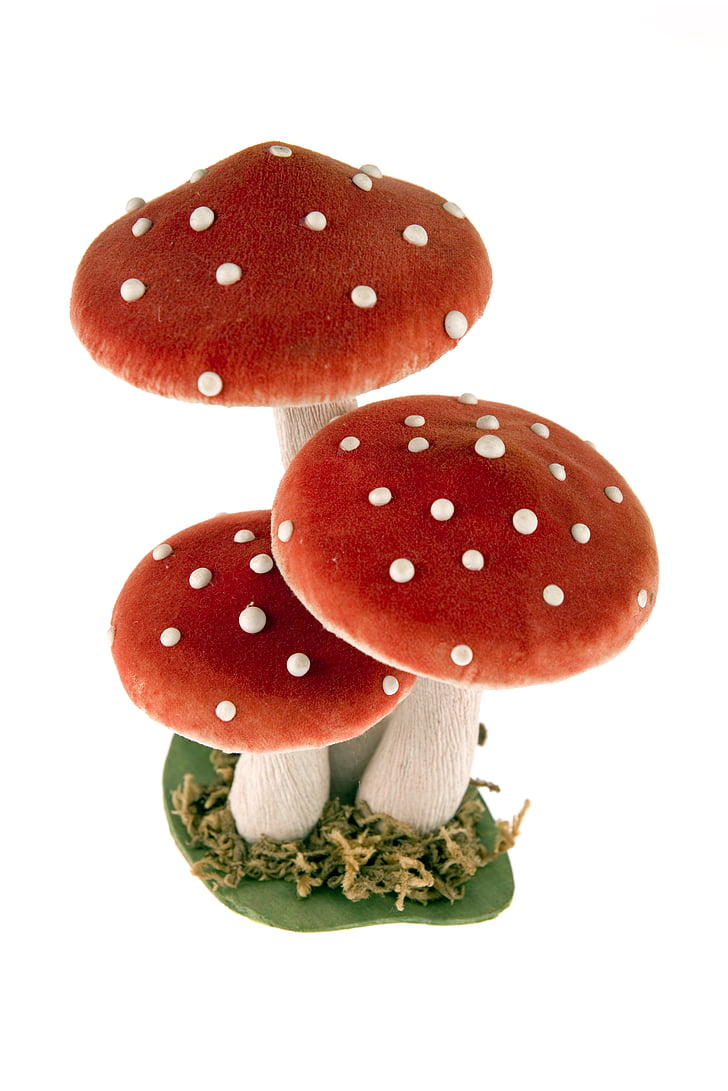 toadstools, mushrooms, a few, artificial, red, white, ornament