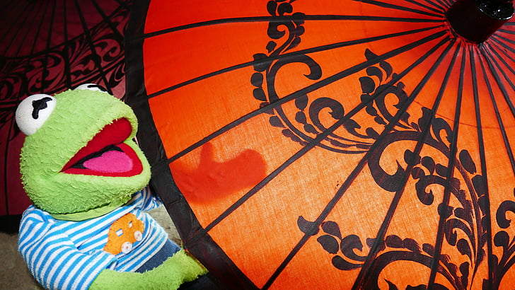 pantalla, paraguas de papel aceitado, colorido, decorado, artes artes, Kermit, rana