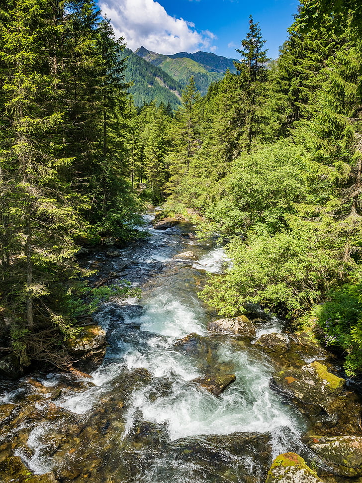 waterfall, mountains, flow, water, forest, white water, mountain stream