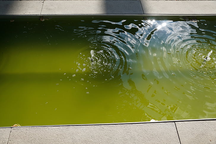 vode, Fontana, zelena, protok, mokro