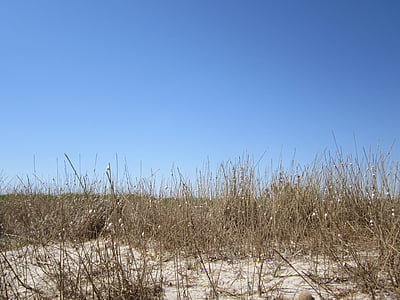 plage, dune, herbe, mer, Dim, Sky, sable