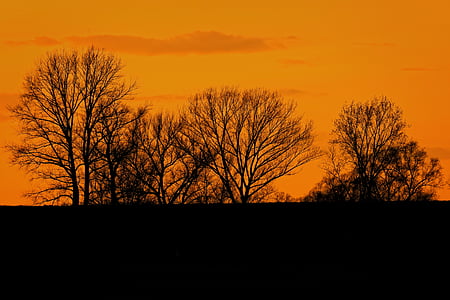 puesta de sol, abendstimmung, Silhuette, árboles, naturaleza, cielo