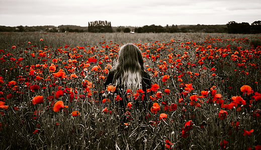 people, woman, girl, alone, solo, field, nature