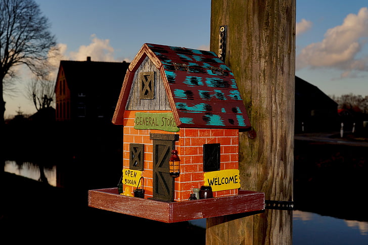 Cottage, vogel, kleine, schattig, stemming, zonsondergang, het platform