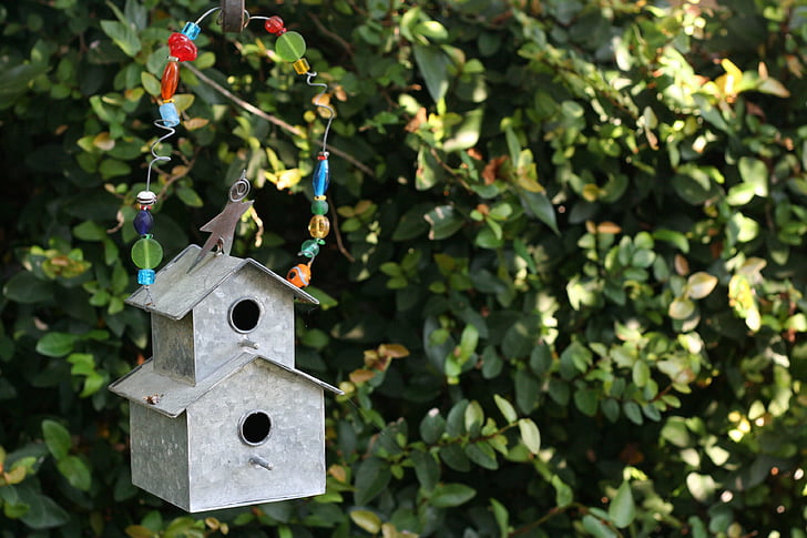 Bird house, fugl, hus, natur, haven, træer, udendørs