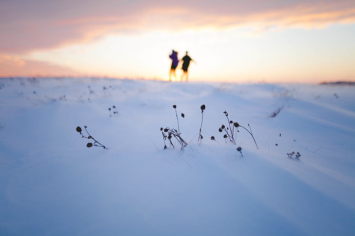 silhouette, deux, personne, debout, blanc, champ de neige, neige