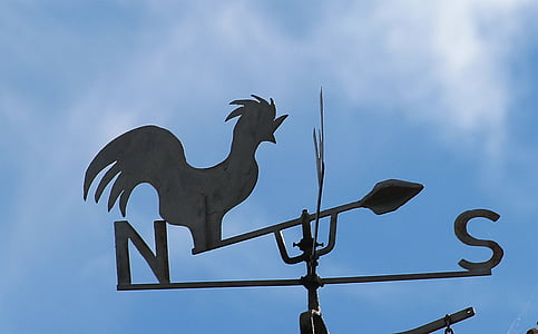 weather vane, blue sky, west, east, north, south, bird