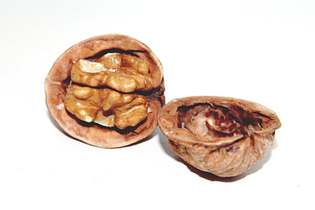 walnut, nut, christmas, food, nutrition, eat, brown