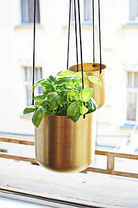 brass, hanging, pot, flowerpot, plant, nature, design