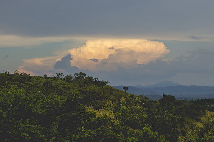 tree, covered, mountain, cloudy, sky, green, trees