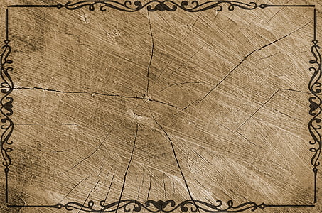 arbre, textura, gra, registre, fons, estructura, fusta