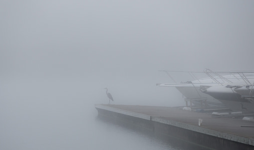 grúa, niebla, puente, Archipiélago de, barco, barco de recreo, Suecia