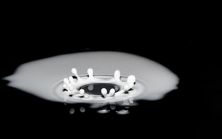 drops of milk, spray, splash, surface tension, drip, milk, drink