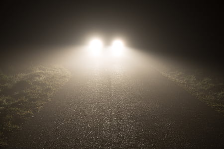 přední světla, mlha, noční, děsivé, mlha, asfalt, auto
