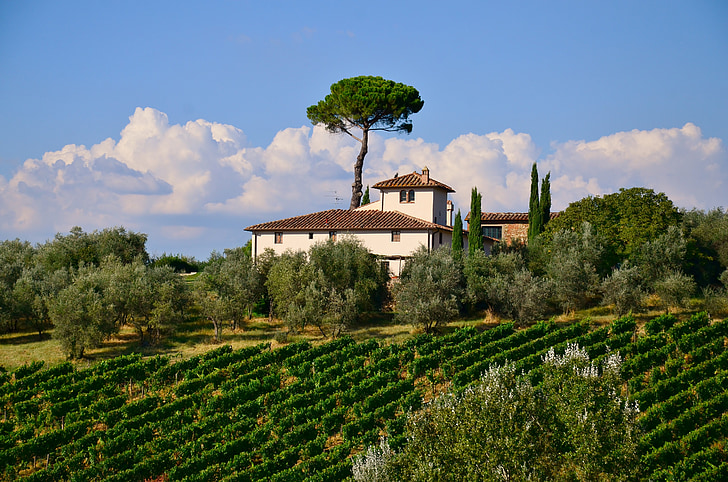 Toskania, Villa, Włoski, Natura, wsi, sceniczny, dekoracje