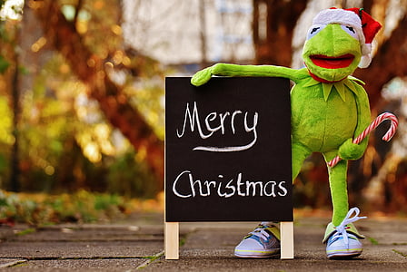 kermit, frog, christmas, santa hat, cute, funny, christmas time