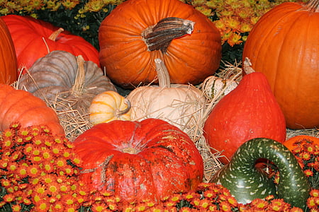 faller, pumpa, Orange, kalebass, hösten, Squash, Halloween