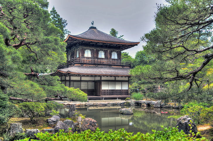 Ginkaku-ji temple, haver, Kyoto, Japan, natur, blomster, vand