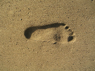 τυπωμένη ύλη ποδιών, Άμμος, στη θάλασσα, παραλία