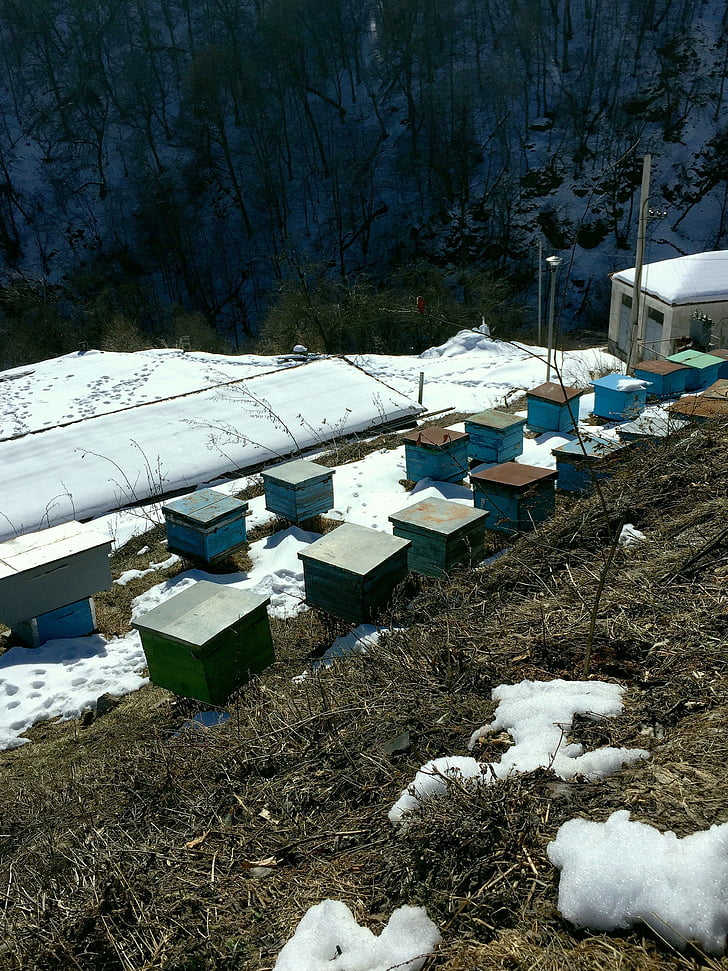 tempat pemeliharaan lebah, tempat pemeliharaan lebah di pegunungan, tempat pemeliharaan lebah dalam surb haghartsin, musim semi, mencair