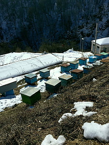 Bienenhaus, Imkerei in den Bergen, Imkerei in Surb haghartsin, Frühling, Tauwetter