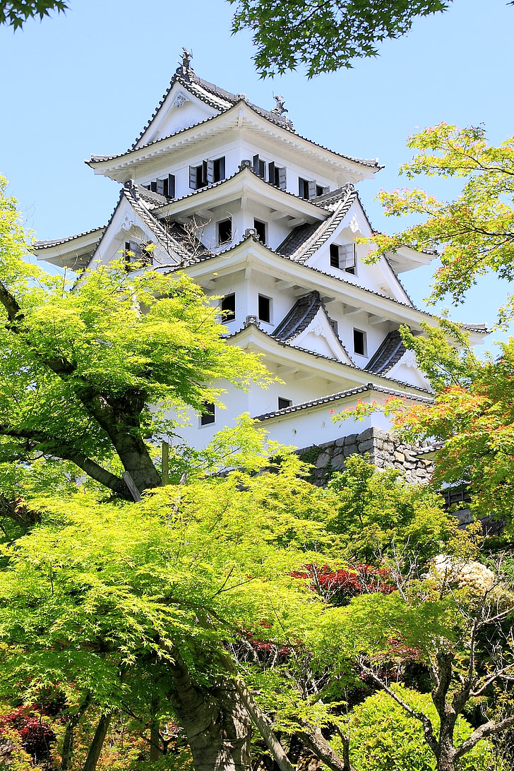 Gujo-hachiman, hrad, Gifu, čerstvé zelené, Japonsko, budova, Japonský štýl