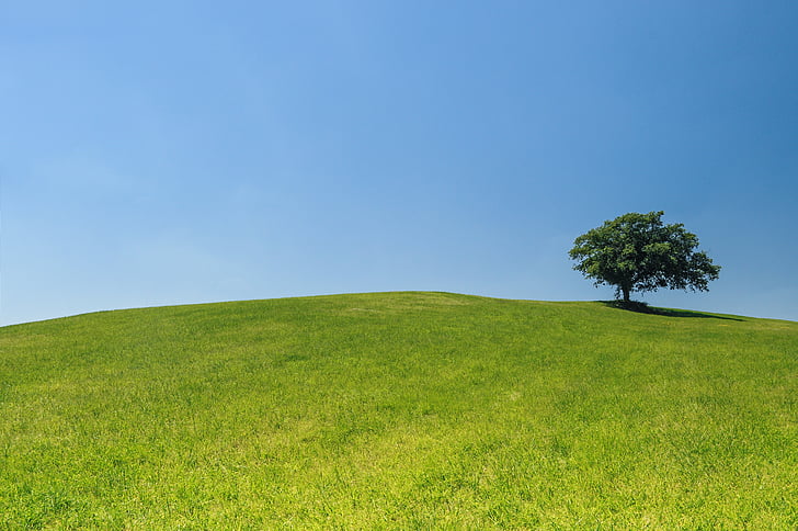 paesaggio, Foto, verde, albero, erba, campo, cielo