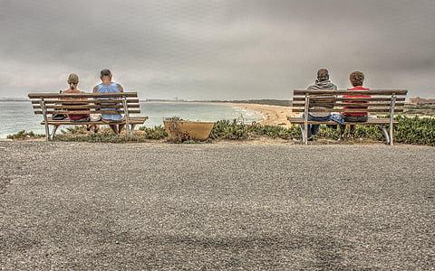 plage, banc, chaise, littoral, couple, herbe, paysage