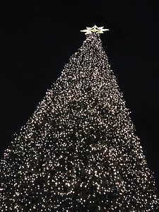kerstboom, Berlijn, decoratieve, Ku'Damm, Kurfürstendamm, nacht