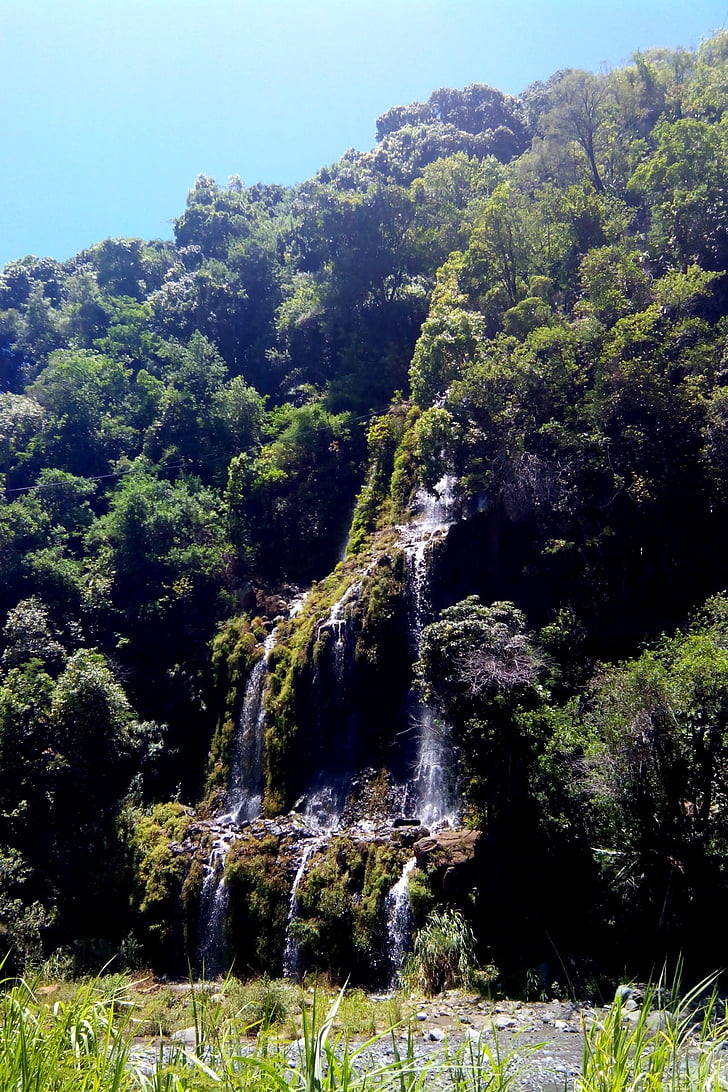 cascada, Saint denis, Isla de la reunión, naturaleza, bosque, árbol, al aire libre